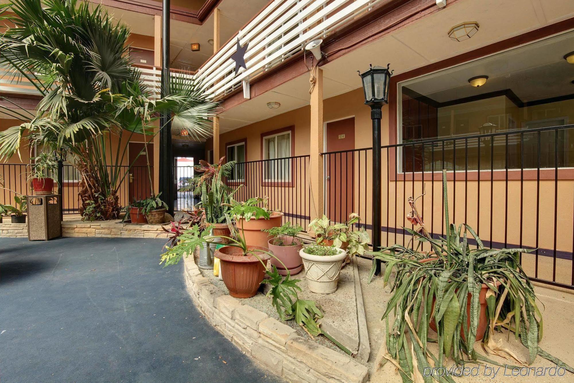 Budget Host Inn Arlington Extérieur photo